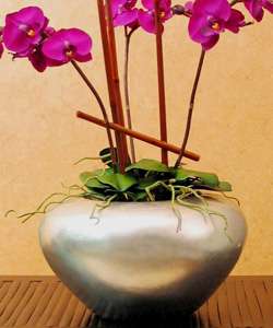 Large Silverleaf Orchid Vase  
