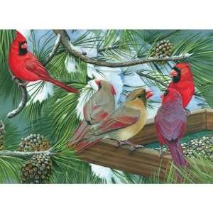  Cardinal Gathering (1,000 Piece Puzzle) Toys & Games