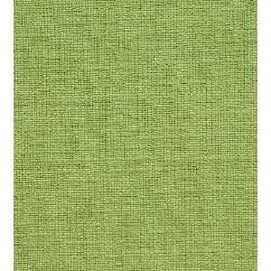  2659 Cheminer in Spring by Pindler Fabric
