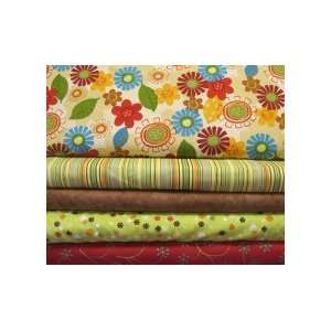  Quilting 5 yards of fun kit Arts, Crafts & Sewing