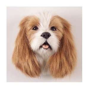   Spaniel Brown & White Fur Magnet for Dog Lovers
