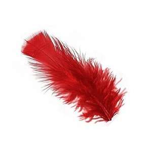  Scarlet Turkey Flat Feather 100 152mm Supplys Arts 