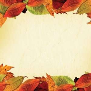  Autumn Leaf Borders 12 x 12 Paper Arts, Crafts & Sewing