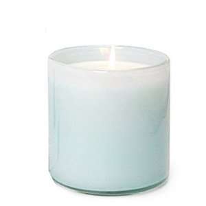    Lafco House and Home Candles Bathroom   Blue Marine
