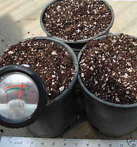 Peat Moss & Perlite Mixed soil for Miracle fruit plants  