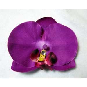    DOZEN Large Orchid Flower Clips  Wholesale 