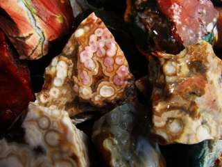 1000 Carat Lots of Ocean Jasper Rough + a FREE Faceted Gemstone  