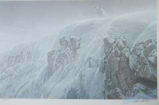 Robert Bateman Arctic Cliff   White Wolf #10163/13000  