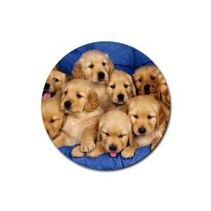  Golden labs litter puppies Round Rubber Coaster set 4 pack 