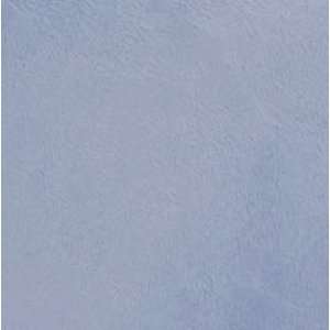  Minky Smooth Fabric   Blue Arts, Crafts & Sewing