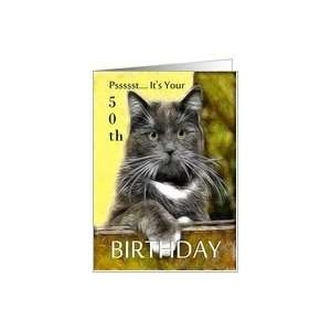    Birthday ~ Age Specific 50th ~ Cat in a box Card Toys & Games