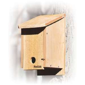  Blue Bird Roosting Box