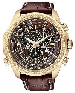    03X Eco Drive Perpetual Calendar Leather Chronograph Watch  