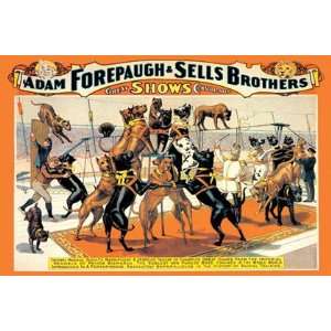  of Champion Great Danes Adam Forepaugh and Sells Brothers Great 