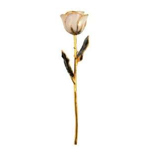  Gold Dipped White Satin Plated Rose