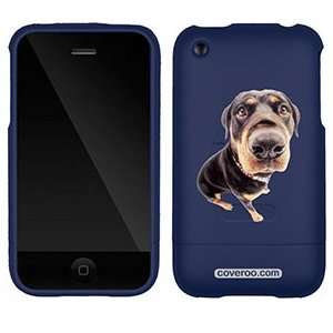    Rottweiler on AT&T iPhone 3G/3GS Case by Coveroo Electronics