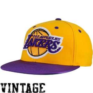  NBA adidas Los Angeles Lakers Gold Purple NBA Classics 210 