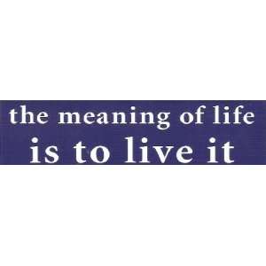  The Meaning of Life Is to Live It   Mini Sticker 
