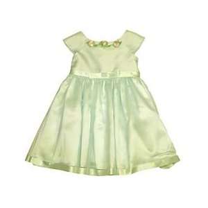  Youngland Girls Organza Dress 4T Lime 