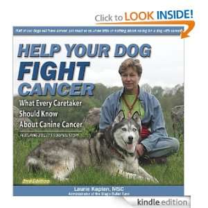 Help Your Dog Fight Cancer What Every Caretaker Should Know About 