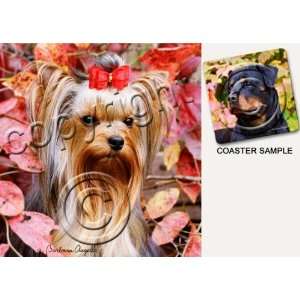  Yorkshire Terrier Dog Drink Coasters