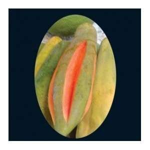  Thai Red Papaya Garden Berry Seeds