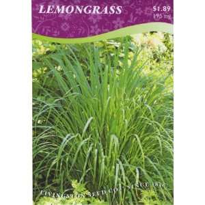  Lemongrass Patio, Lawn & Garden