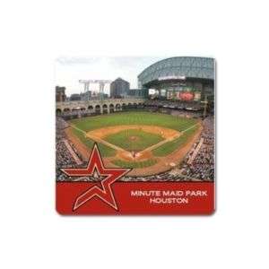 Houston Astros Minute Maid Park Travel Souvenir Magnet  