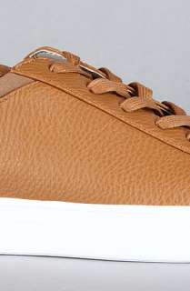 AH by Android Homme The Future Low Sneaker in Camel  Karmaloop 