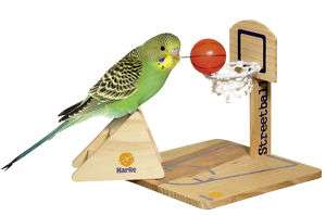 Karlie Streetball   Wellensittich Spielzeug Vogel Holz  