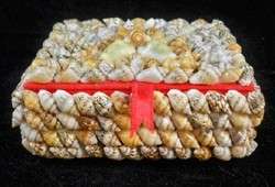 Hand Crafted Natural Genuine Seashell Trinket Box R10  