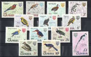 Gambia einheimische Vögel  