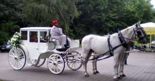 Hochzeitskutsche in Nordrhein Westfalen   Recklinghausen  Reise 