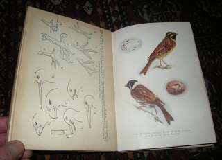 1910   Westell BRITISH NESTING BIRDS Eggs / Ornithology  