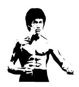 Bruce Lee mens T shirt Fruit of Loom Free P&P  