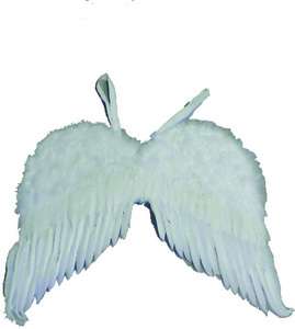 Feather Angel Wings Costume (Accessories)