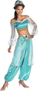 Aladdin Jasmine Prestige Adult Costume   Includes, top, pants 