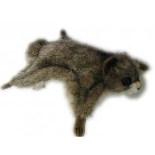 10 Kaibab Squirrel Plush Stuffed Animal Toy Toys & Games