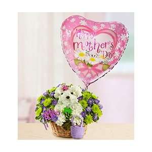 Mothers Day Flowers by 1 800 Flowers   Mama Paws   with Mothers Day 