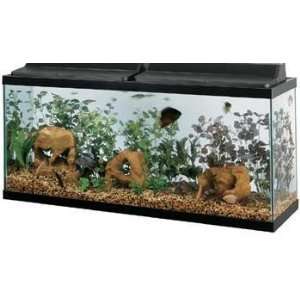   All Glass Aquarium Co. 55 Gallon Tank Black 48 X 13 X 20