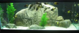 Aquarium Fish Tank Background Feature Rock 46x18  