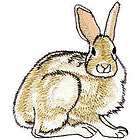Small Mammals, Christmas items in iron rabbit 