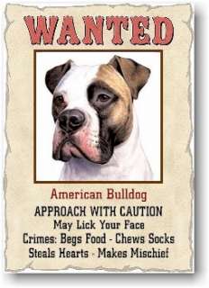   Dog Wanted Poster Refrigerator Magnet Sign Fridge Collectible  