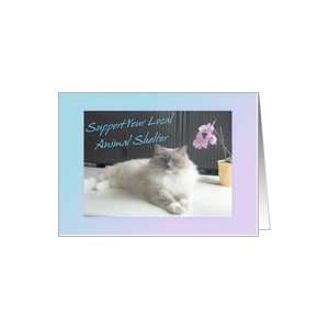  Support Your Animal Shelter Cat Animal Flower Pet Card 