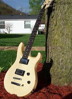   HT 10 PR STYLE BUILD YOUR OWN ELECTRIC GUITAR KIT 688382003866  