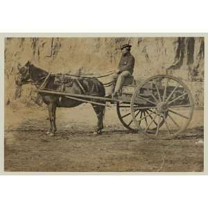   Man sitting in horse drawn cart,1861 65,Andrew Russell