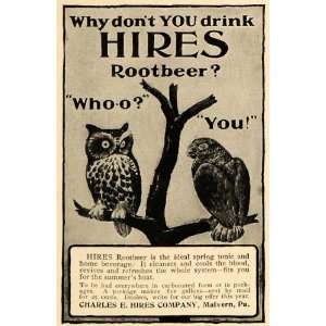  1901 Ad Charles E. Hires Rootbeer Owl Parrot Tree Perch 