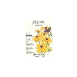   Botanical Interest   Rudbeckia Black Eyed Susan Patio, Lawn & Garden