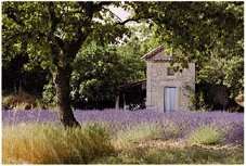 Durance en Provence French VANILLA Body Lotion New  