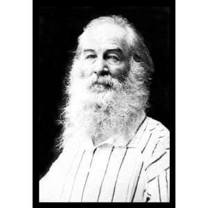 Walt Whitman 12x18 Giclee on canvas